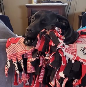 Meet your Posher, Julie